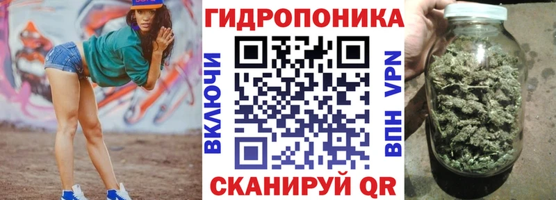 Виды наркотиков купить Медногорск omg tor  Конопля  МЕФ  Гашиш  Cocaine 