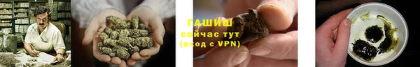 стаф Кулебаки