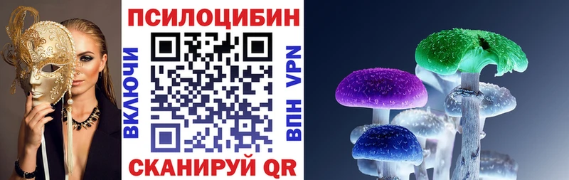 Псилоцибиновые грибы Cubensis  Медногорск 