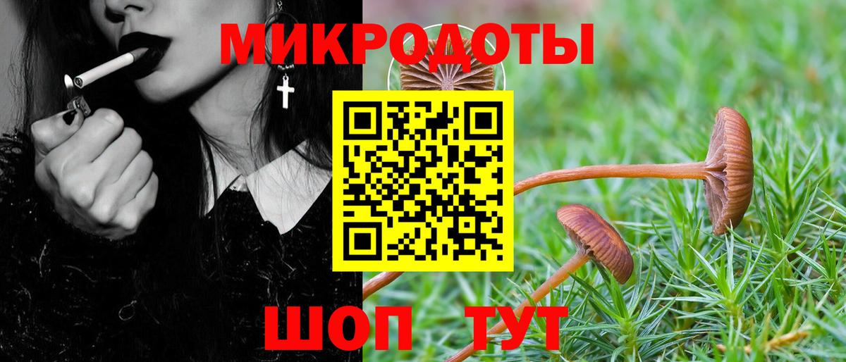 Псилоцибиновые грибы мицелий  Псилоцибиновые грибы MAGIC MUSHROOMS  Вход с VPN  Медногорск 
