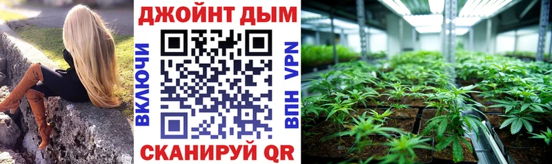 закладки  Медногорск  Каннабис план 